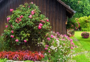 4 EASY WAYS TO FIX LANDSCAPING