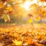 TIPS FOR SELLING YOUR HOME IN AUTUMN