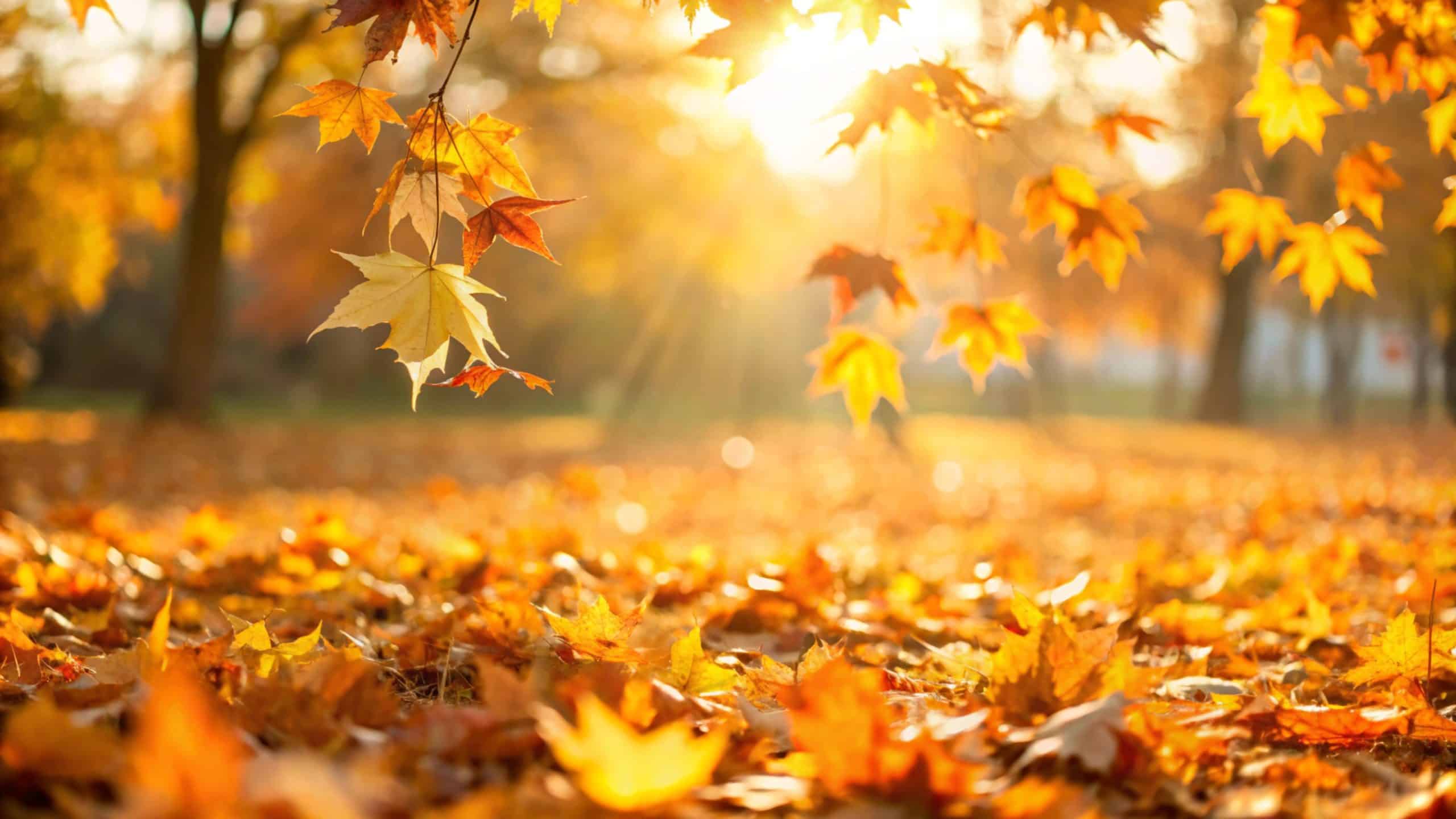 TIPS FOR SELLING YOUR HOME IN AUTUMN